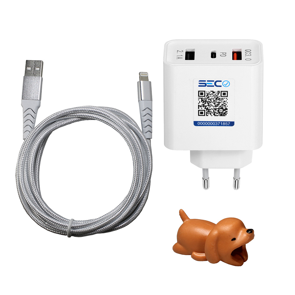 Cargador R&aacute;pido de Pared + Cable IPhone