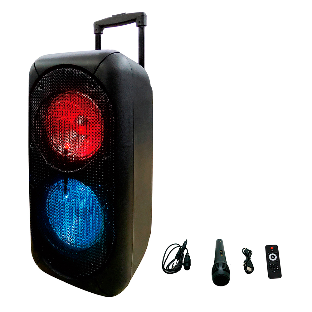 Parlante Big pro 800