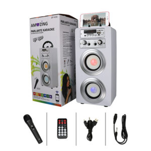 Parlante Karaoke Bluetooth